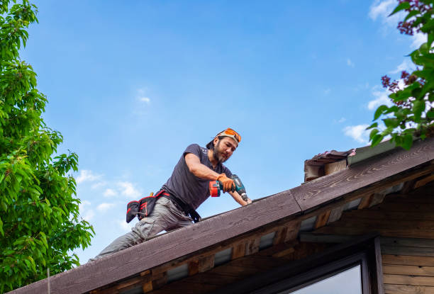 Best Gutter Replacement  in Bridgewater, VA