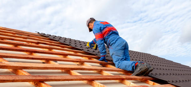 Best Roof Maintenance and Cleaning  in Bridgewater, VA